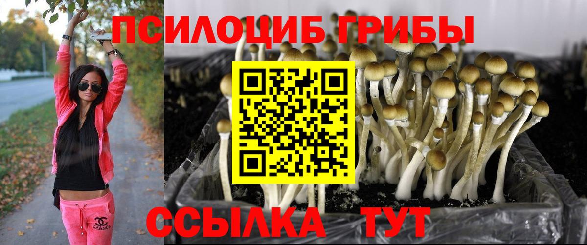 Кропоткин  Псилоцибиновые грибы Magic Shrooms  Вход с VPN 